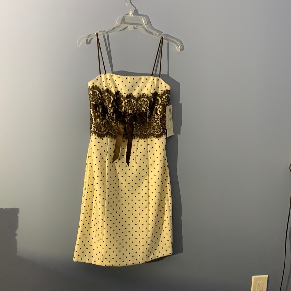 NWT Cream and Brown Polka Dot Dress with Lace